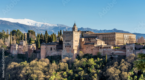 View of Alhambra Palace in Granada  Spain in Europe