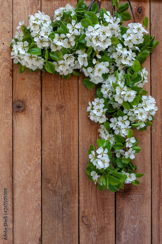 Close-up photo of Beautiful white Flowering pear Tree branches . Wedding, engagement or betrothal concept on wooden background. Top view, greating card.