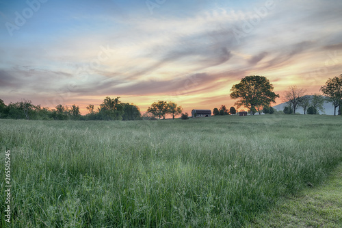 "Thick Lawn at Dawn" ZDS Americana Landscapes Collection