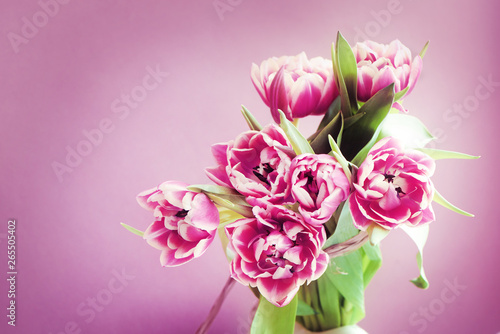 Fresh beautiful pink purple tulip Bouquet on pink background. Easter card. Copy space.