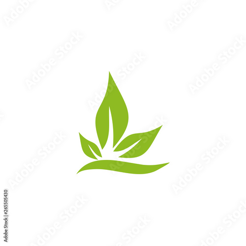 Leaf icon logo design vector template