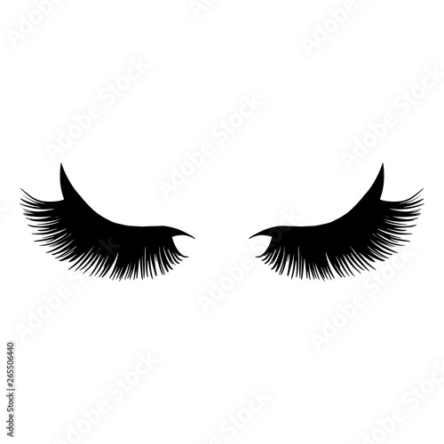 Black long lashes vector illustration. Beautiful Eyelashes isolated on a background.