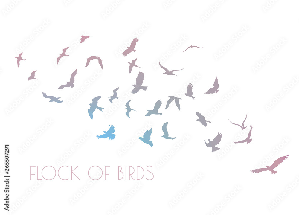 figures multicolored flock of flying birds on white background