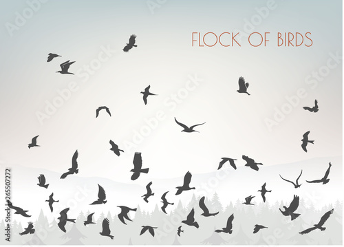 Wallpaper Mural figures flock of flying birds on mountain background Torontodigital.ca