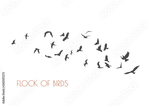 figures flock of flying birds on white background