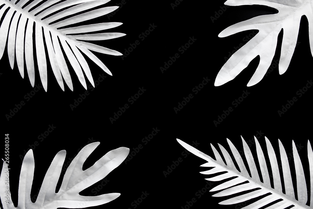 Collection of tropical leaves,foliage plant in black and white color with space background.Abstract leaf decoration design