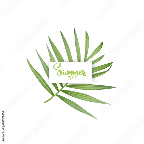 Vector realistic palm leaf isolated on a white background.