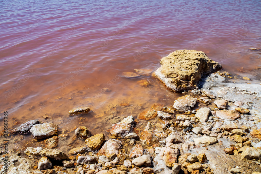 Laguna Salada in Torrevieja, Spain. Pink Salted lake. Salinas Natural Park.