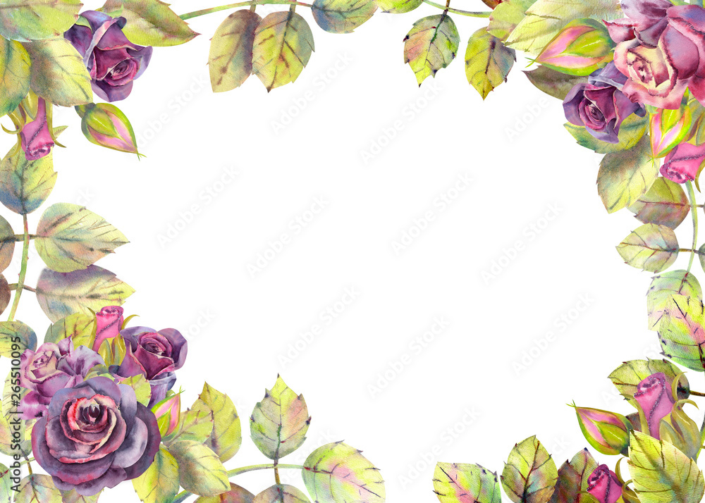 Flowers of dark roses, green leaves, composition. Horizontal frame orientation . The concept of the wedding flowers. Flower poster, invitation. Watercolor compositions for the design of greeting cards Flowers of dark roses, green leaves, composition. Horizontal frame orientation . The concept of the wedding flowers. Flower poster, invitation. Watercolor compositions for the design of greeting cards