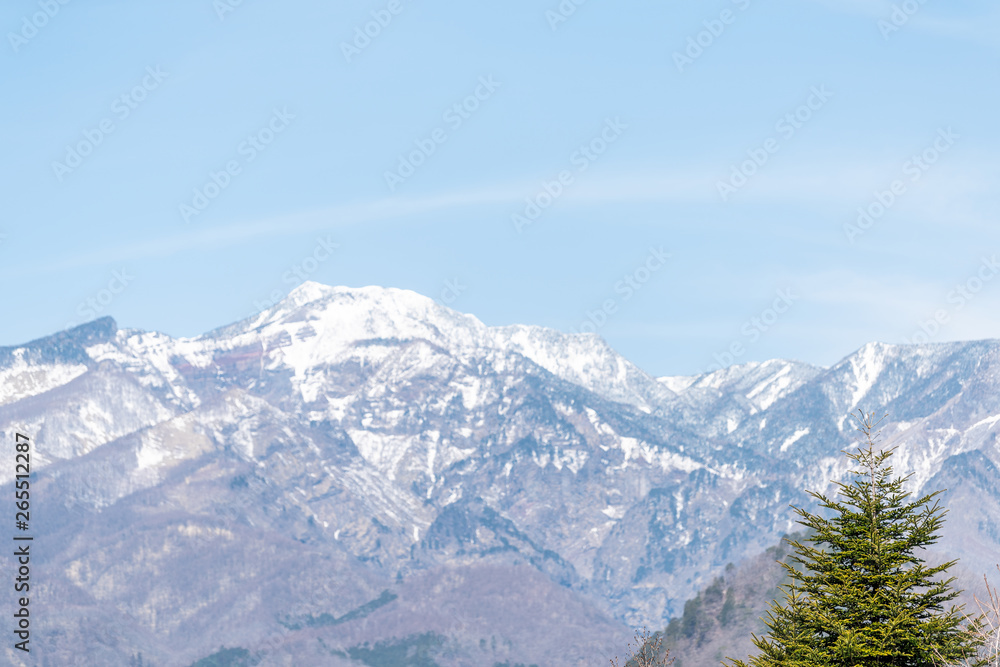 View on snowy mountain and pine tree in Nikko, Tochigi prefecture in Japan with blue sky in spring