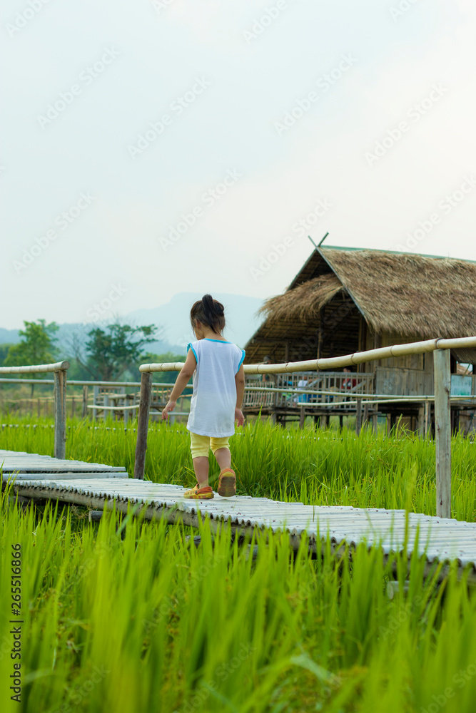 a small child  walks along in rice field road,
