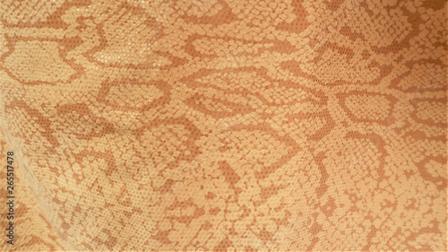 Snake skin background. Close up.