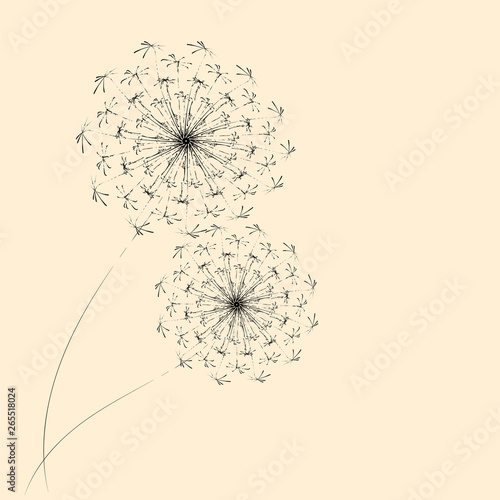 Summer floral background of stylized dandelions. For the design of postcards, brochures, flyers.