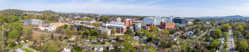 Charlottesville Panorama