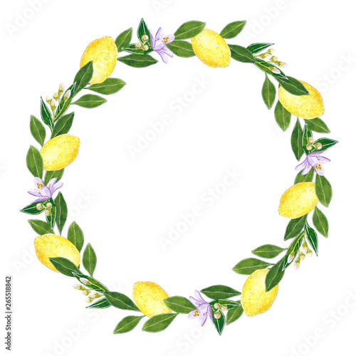 Citrus round wreath made of orange fruit, flowers and leaves, hand drawn botanical illustration isolated on white.