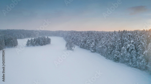 22791_The_forest_ground_filled_with_thick_white_snow69.jpg