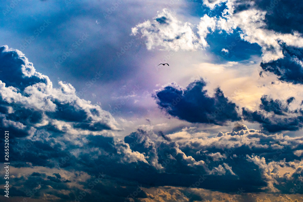 Naklejka premium sky