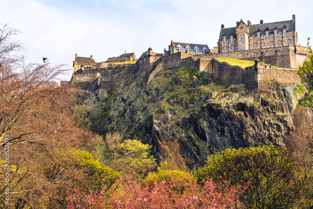 Edinburgh Castle framed by cherry blossoms on a beautiful blue sky Spring day, famous tourist attraction in Scotland ,UK.