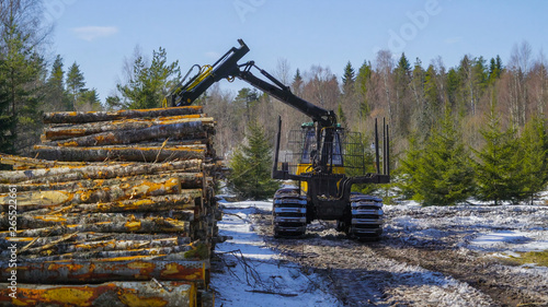 9627_The_big_log_grapple_truck_and_the_logs-40.jpg