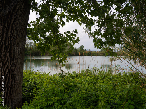 Bozi di Saudino, Sarzana, Italy. Former gravel pits, now nature reserve. Glimpsed here through trees.