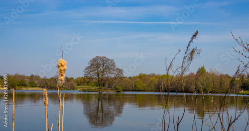 Landscape picture of Alderford Lake in north Shropshire with sky and clouds reflected on water