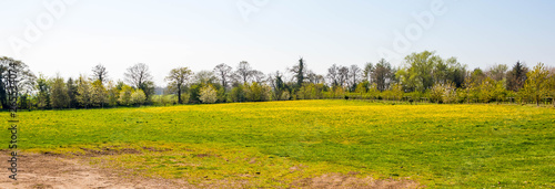 Wild meadow at Alderford Lake in North Shropshire in spring photo
