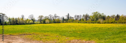 Wild meadow at Alderford Lake in North Shropshire in spring