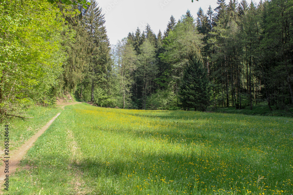 Obraz premium Nature