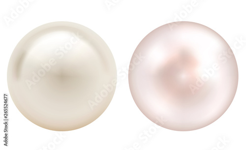 Realistic vector two pearls photo