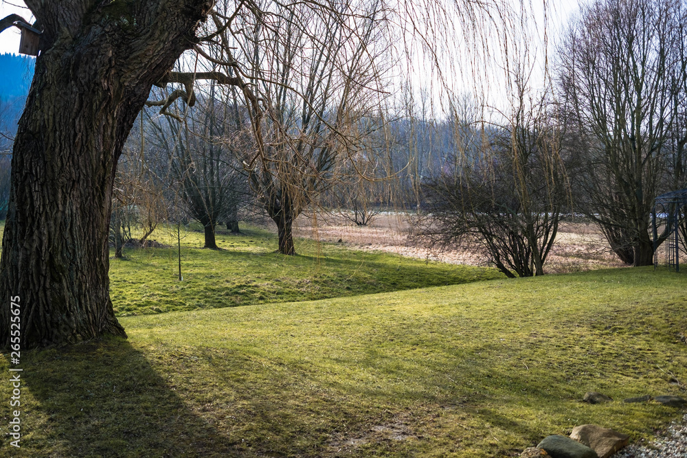 Landschaft im Frühjahr