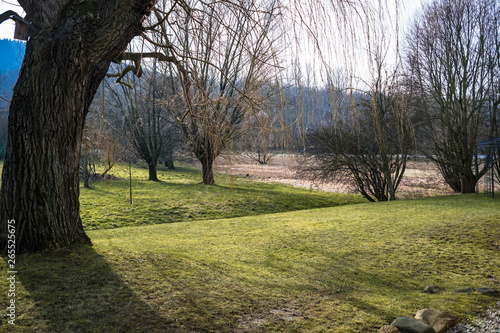 Obraz na płótnie Landschaft im Frühjahr w salonie