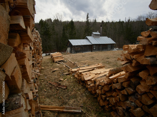 old house in the forest