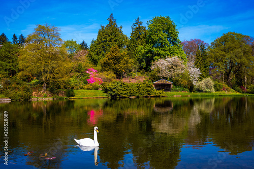 Beautiful view of water feature in Hodnet Hall Gardens in Hodnet