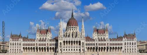 Hungarian Parliament central perspective.