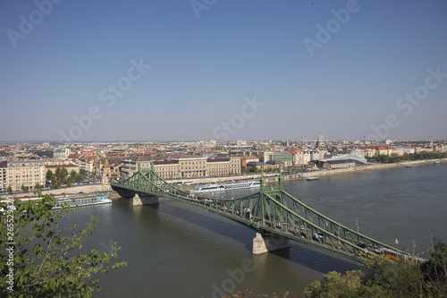 Liberty Bridge in Budapest, Hungary.