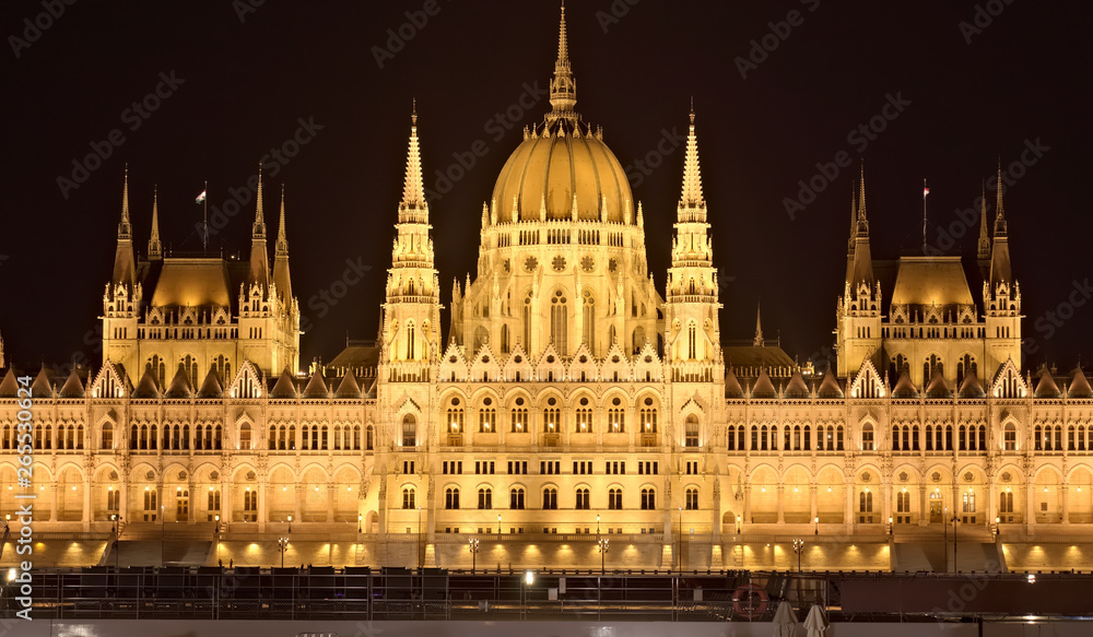 Hungarian Parliament central perspective.