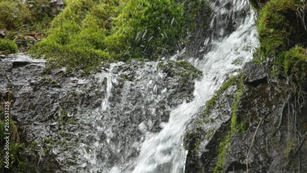 waterfall in forest waterfall in forest