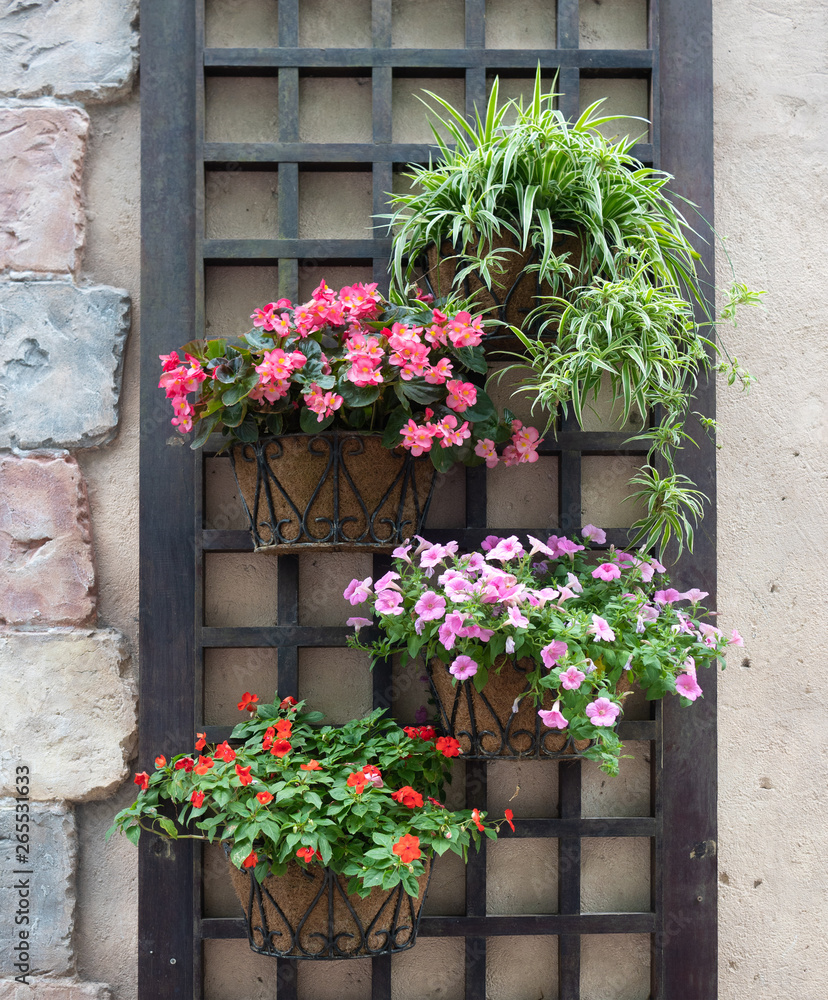 colourful flower pots hanging on a wall