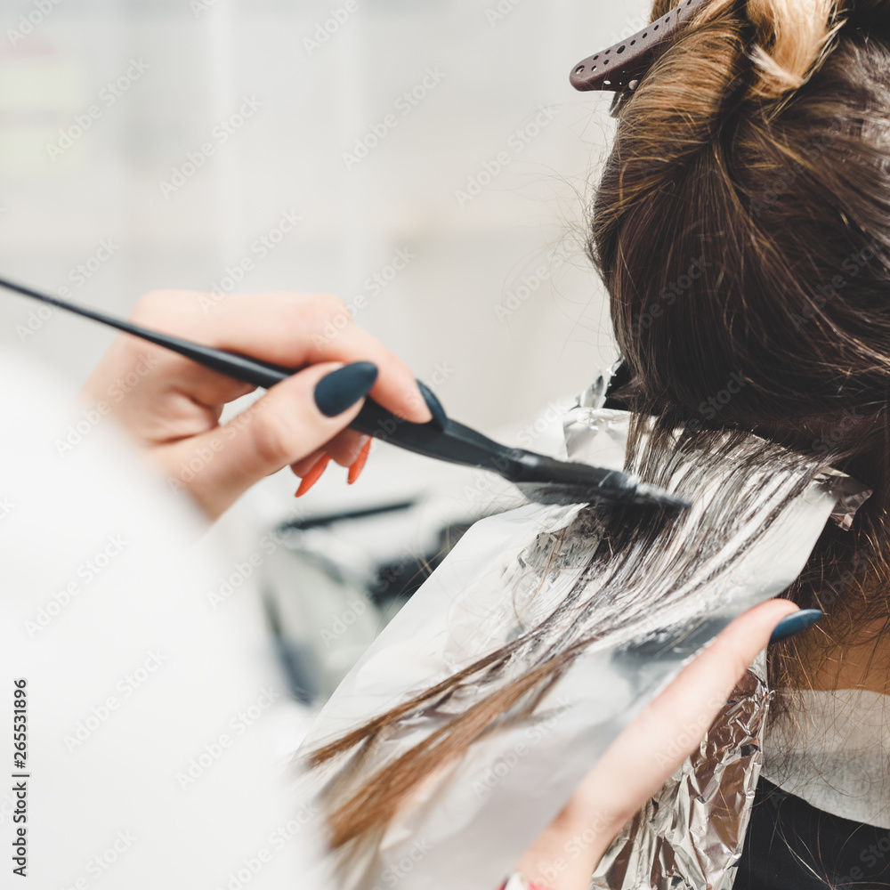Obraz Young professional hairdresser applying dye on clients hair