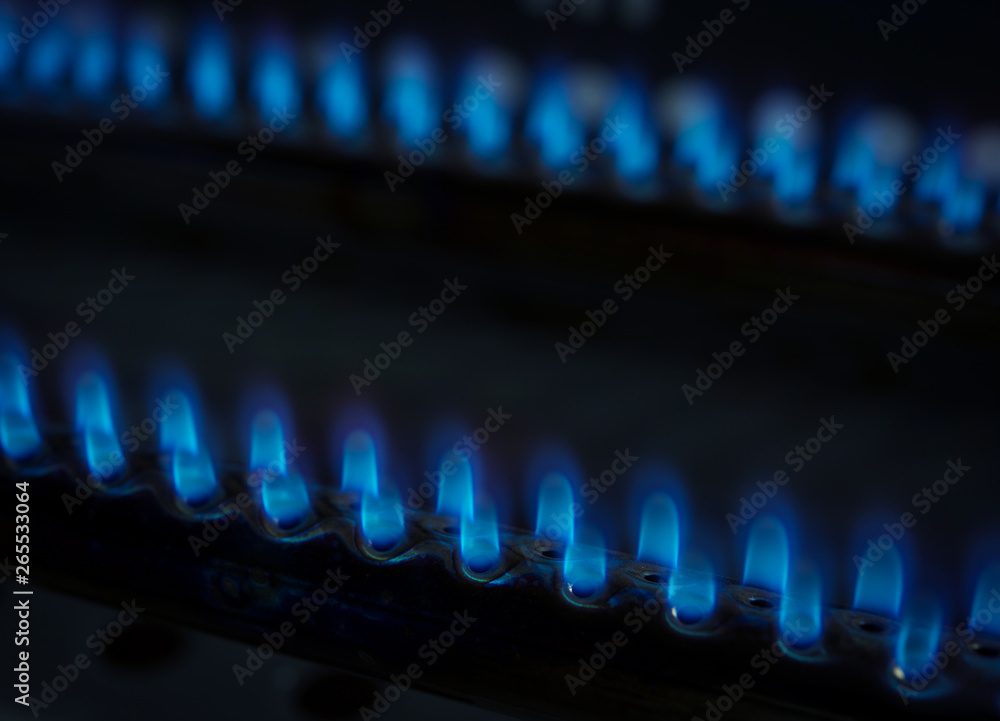 Gas burner with blue flames Gas burner with blue flames
