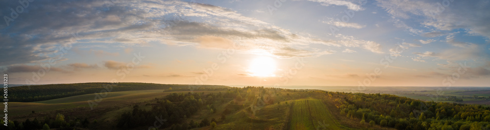 Landscape of the Ukrainian forest at sunset. 