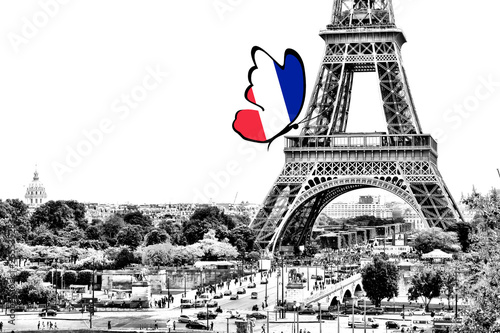 Black and white photo of Paris panorama with a view of the Eiffel Tower with butterfly around in the colors of the national flag of France. Isolated on white background.