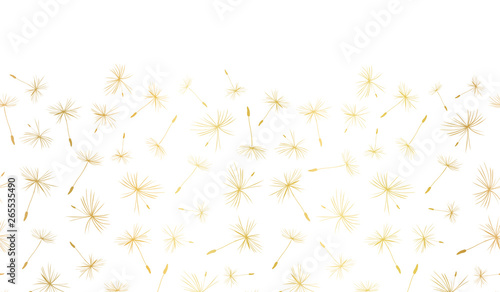 Vector border Gold foil Dandelion seeds seamless repeat 