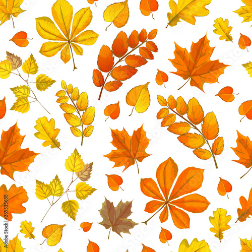 autumn pattern with fallen leaves of different colors