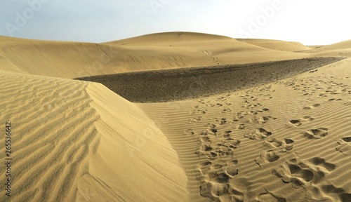 sand dunes in the desert near Maspalomas on the south coast of Gran Canaria