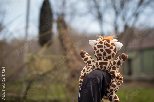 Canvas Print plush giraffe with a real giraffe