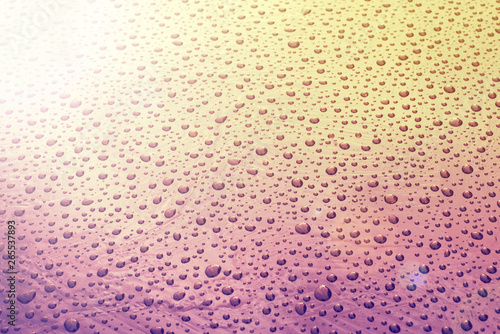 drops of water-repellent surface  after the rain