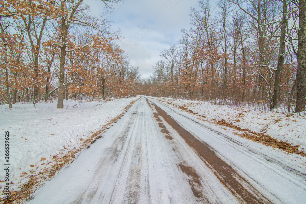 Rural straight dirt road in the snowy winter surrounded by forest Rural straight dirt road in the snowy winter surrounded by forest