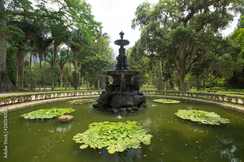 Botanical Garden of Rio de Janeiro Brazil.
