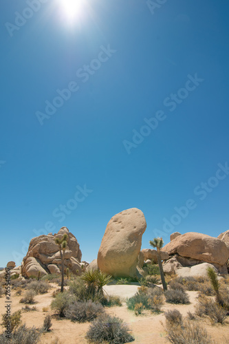 Joshua Tree National Forest - Landscape of park that contains desert, shrubs, yucca trees, and joshua trees - image with huge boulder and hot sun shining down